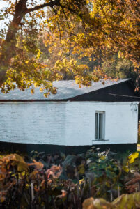 IMG_2427 – копія